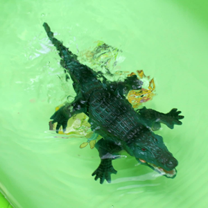 ربات اسباب بازی کروکودیل کنترلی شارژی SWIM CROCODILE Remote Control_اسباب بازی